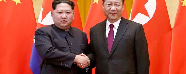 媒体：金正恩或在第二次金特会后访华 - 俄罗斯卫星通讯社