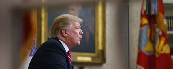 美国民主党领导人呼吁特朗普恢复政府工作 美国民主党领导人呼吁特朗普恢复政府工作 - 俄罗斯卫星通讯社