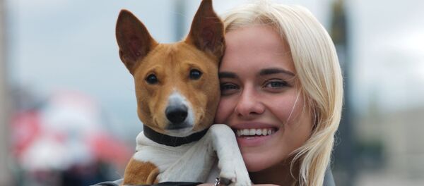 俄羅斯大多數寵物狗主人，年齡在25-35歲之間 - 俄羅斯衛星通訊社