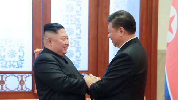 朝鲜副外相与俄驻朝大使讨论金正恩访华成果 - 俄罗斯卫星通讯社