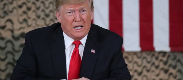 特朗普称其与民主党领袖就预算危机进行会谈时没有敲桌子 - 俄罗斯卫星通讯社