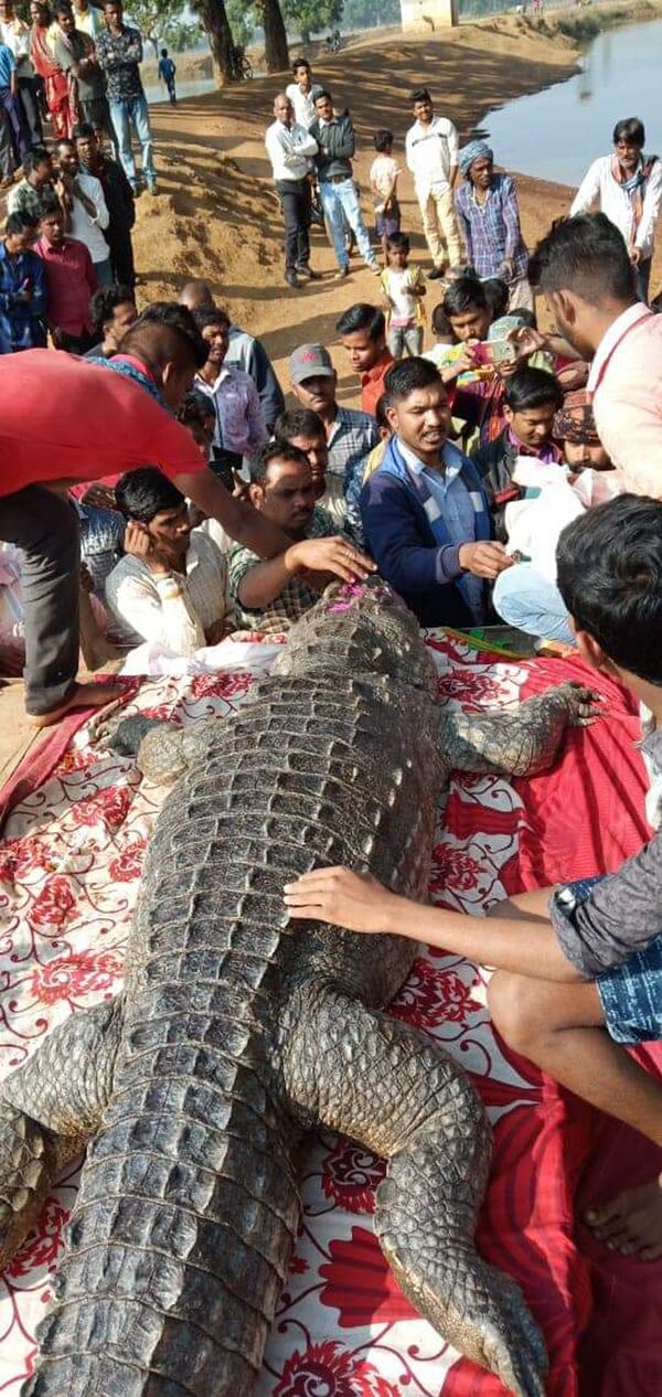 印度500人出席百岁鳄鱼葬礼 印度500人出席百岁鳄鱼葬礼 - 俄罗斯卫星通讯社