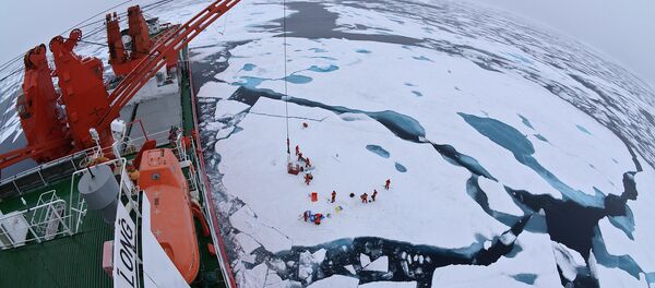 “雪龍號”破冰船 - 俄羅斯衛星通訊社