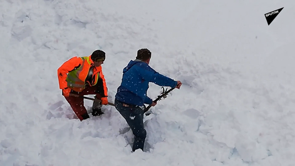 奧地利 人從雪中挖出一隻山羊 - 俄羅斯衛星通訊社