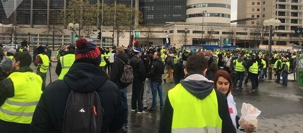желтые жилеты - 俄罗斯卫星通讯社