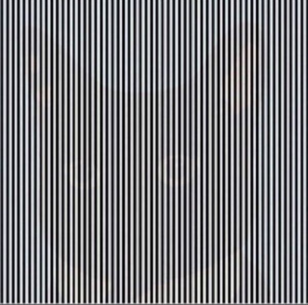 迷惑网民的新猫咪视错觉 - 俄罗斯卫星通讯社