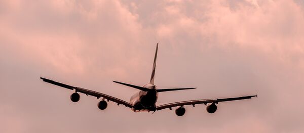 客机 - 俄罗斯卫星通讯社