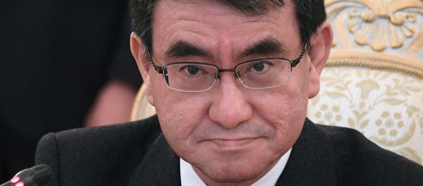 日本外相：俄日未能解決就和平條約問題上存在的分歧 - 俄羅斯衛星通訊社