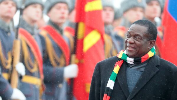 津巴布韦总统称该国期望未来在军队现代化升级方面得到俄方支持 - 俄罗斯卫星通讯社