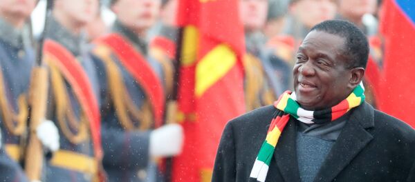 津巴布韦总统称该国期望未来在军队现代化升级方面得到俄方支持 - 俄罗斯卫星通讯社