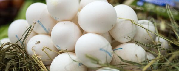 六种有助于燃烧腹部脂肪的食物 - 俄罗斯卫星通讯社