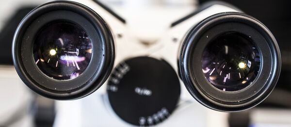 在皮膚上自溶：加快傷口愈合的材料問世 - 俄羅斯衛星通訊社