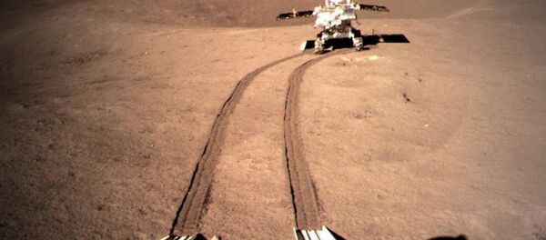 嫦娥四号完成人类首次月面生物实验 - 俄罗斯卫星通讯社