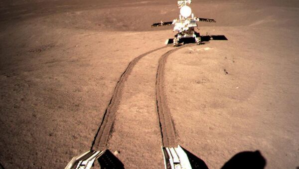 嫦娥四號完成人類首次月面生物實驗 - 俄羅斯衛星通訊社