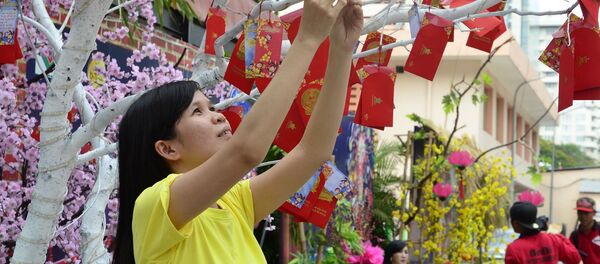 越南應該取消農歷新年嗎？ - 俄羅斯衛星通訊社