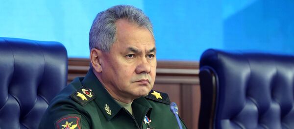 俄防长：委内瑞拉的局势证实美国正在恢复门罗主义 - 俄罗斯卫星通讯社