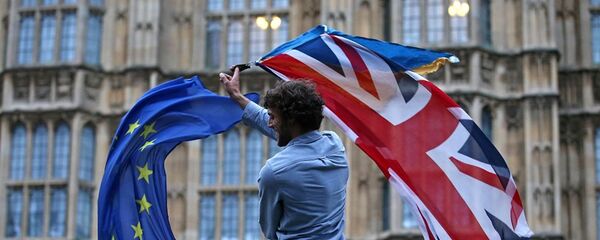 媒體：英國政府可以在無協議退歐的情況下實施戒嚴 - 俄羅斯衛星通訊社