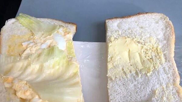 飛機餐三明治竟然只有黃油和一片菜葉 - 俄羅斯衛星通訊社