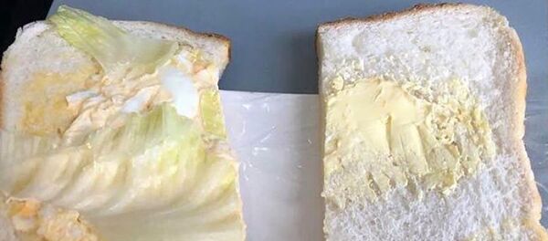 飞机餐三明治竟然只有黄油和一片菜叶 - 俄罗斯卫星通讯社