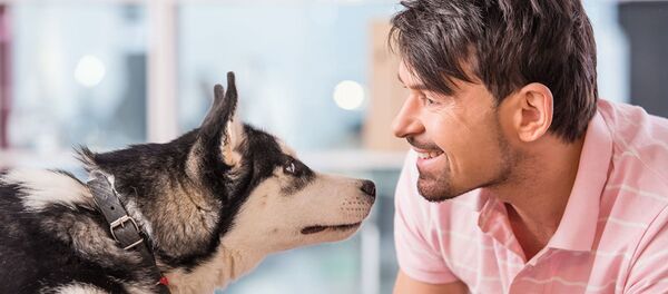 科学家揭示糖尿病患者为什么需要养狗 - 俄罗斯卫星通讯社