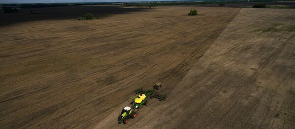 俄出口中心：2018年俄农产品出口额约为250亿美元 - 俄罗斯卫星通讯社