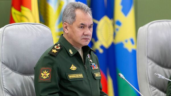 俄国防部长：俄必须实现军用航天器现代化 - 俄罗斯卫星通讯社