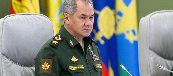 Министр обороны РФ Сергей Шойгу - 俄罗斯卫星通讯社