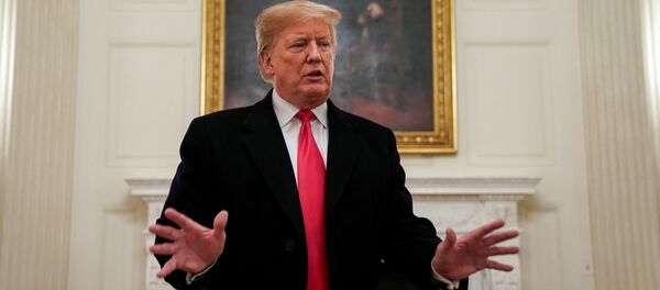 特朗普 - 俄罗斯卫星通讯社