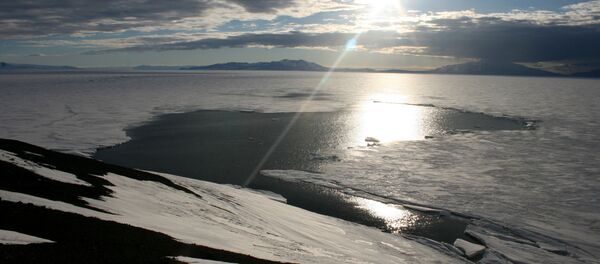 專家揭開南極洲冰洞之謎 - 俄羅斯衛星通訊社