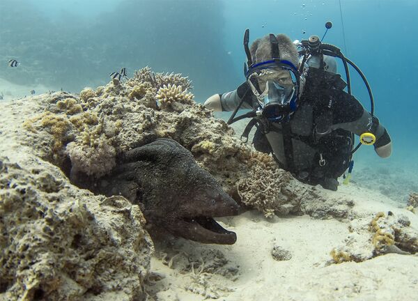 帕夫連科在紅海練習下潛 - 俄羅斯衛星通訊社