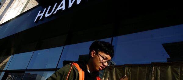 報告：華為2018年手機全球市場佔有量幾乎趕超蘋果 - 俄羅斯衛星通訊社