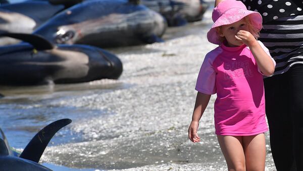 小女孩掩鼻抵御海滩上死鲸气味 - 俄罗斯卫星通讯社