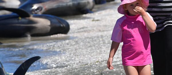 小女孩掩鼻抵御海滩上死鲸气味 - 俄罗斯卫星通讯社