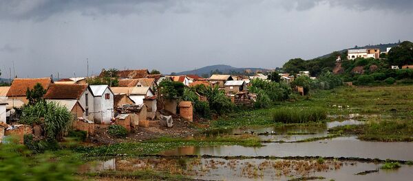 马达加斯加 - 俄罗斯卫星通讯社
