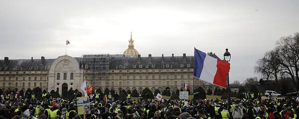 “黄马甲”抗议活动 - 俄罗斯卫星通讯社