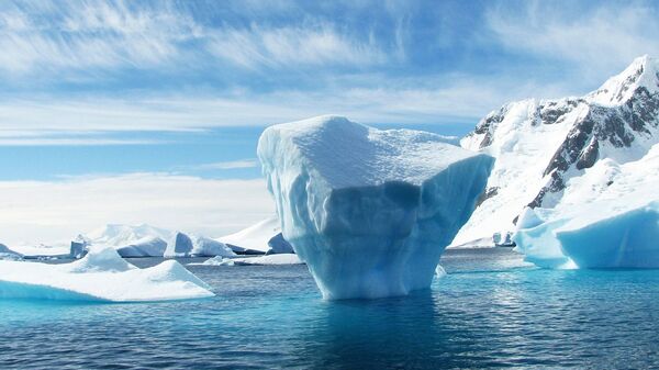媒体：南极海冰降至45年来冬季最低，消失面积如阿根廷国土 - 俄罗斯卫星通讯社