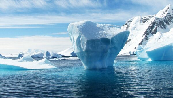 南極一座相當於兩個紐約大的冰山斷裂 - 俄羅斯衛星通訊社