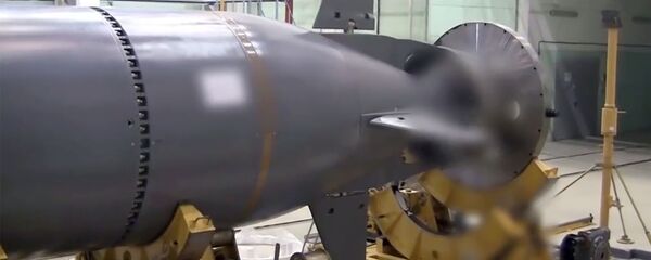 “波塞冬”无人潜航器 - 俄罗斯卫星通讯社