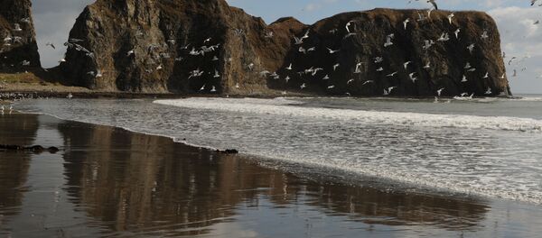 日本抗议俄罗斯千岛群岛演练计划 - 俄罗斯卫星通讯社