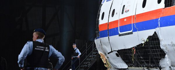 烏克蘭安全局前員工認為基輔與馬航MH17空難有關 烏克蘭安全局前員工認為基輔與馬航MH17空難有關 - 俄羅斯衛星通訊社