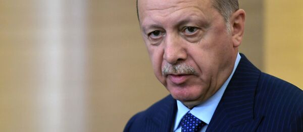 Президент Турции Реджеп Тайип Эрдоган - 俄罗斯卫星通讯社