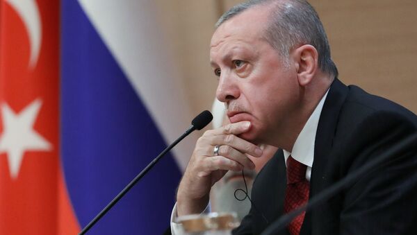 土耳其在叙利亚的出现是为了人道目的 而并非占领该国 - 俄罗斯卫星通讯社