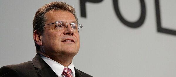 馬羅什·謝夫喬維奇 - 俄羅斯衛星通訊社