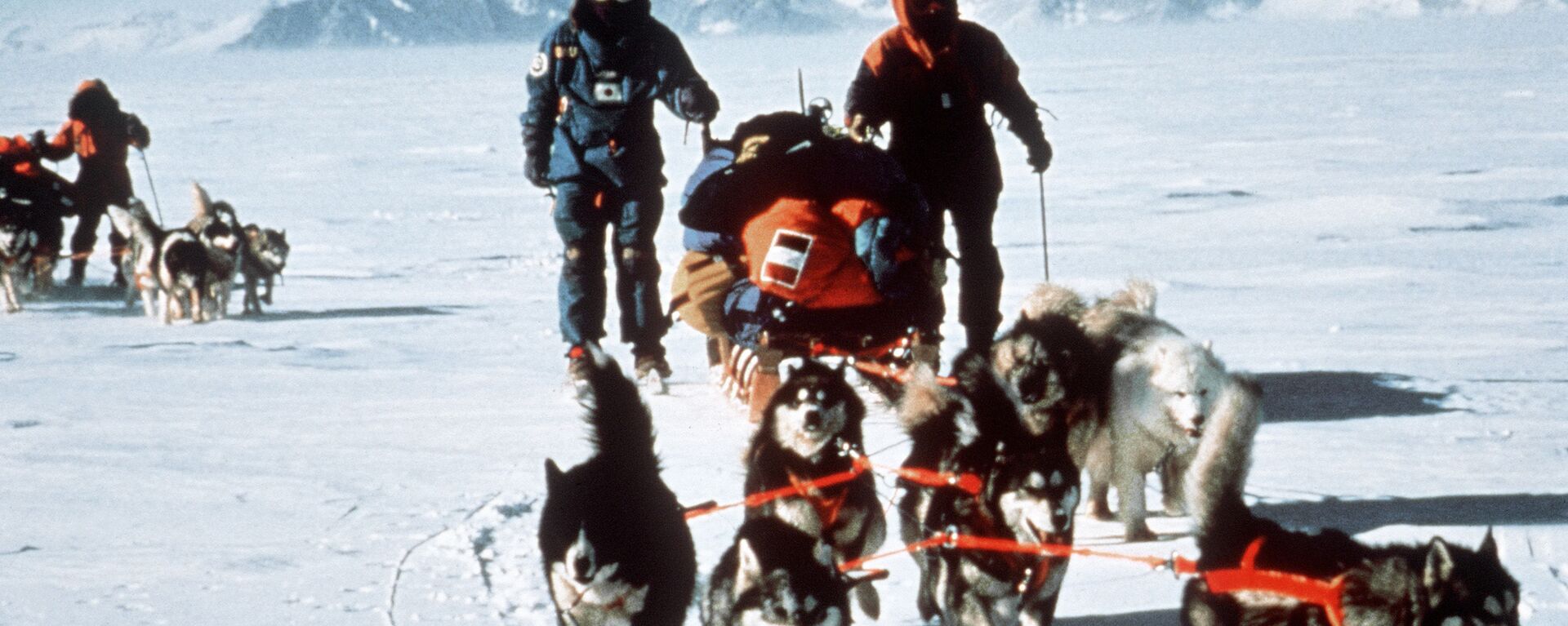 Участники международной трансантарктической экспедиции на Южном полюсе, 1990 год - 俄羅斯衛星通訊社, 1920, 17.01.2022