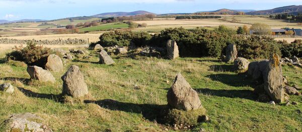 苏格兰一块科学家研究过的古石碑竟然是假的 - 俄罗斯卫星通讯社