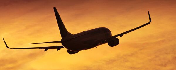 Самолет Boeing 737. - 俄羅斯衛星通訊社