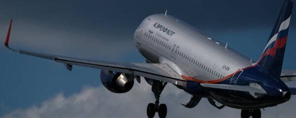 Самолеты в аэропорту Шереметьево - 俄罗斯卫星通讯社