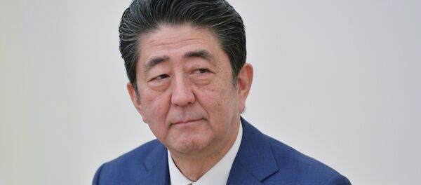 Президент РФ В. Путин встретился с премьер-министром Японии С. Абэ Президент РФ В. Путин встретился с премьер-министром Японии С. Абэ - 俄羅斯衛星通訊社