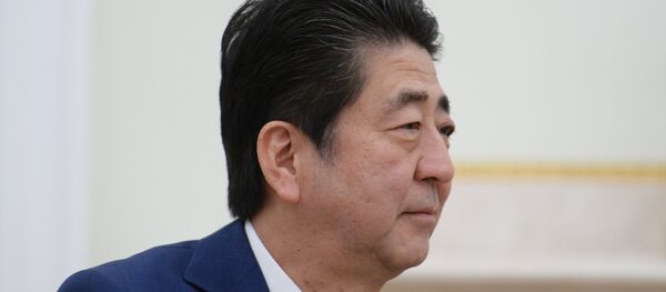 日本首相拒绝向议员回答南千岛群岛问题 日本首相拒绝向议员回答南千岛群岛问题 - 俄罗斯卫星通讯社