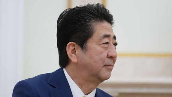 日本首相拒绝向议员回答南千岛群岛问题 - 俄罗斯卫星通讯社